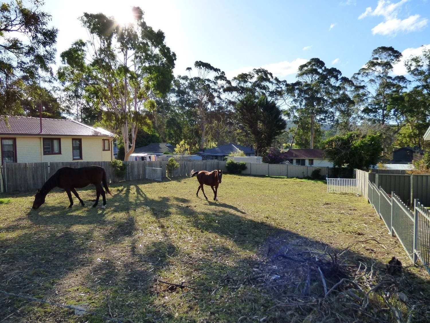 23 Moorehead Street, Eden, Eden - Image 1