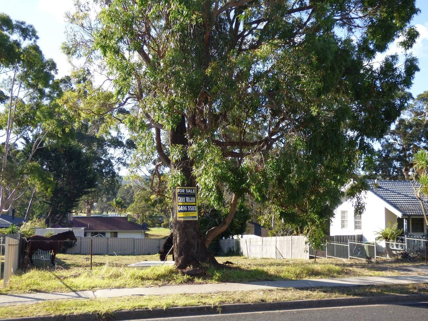 23 Moorehead Street, Eden, Eden - Thumbnail 3