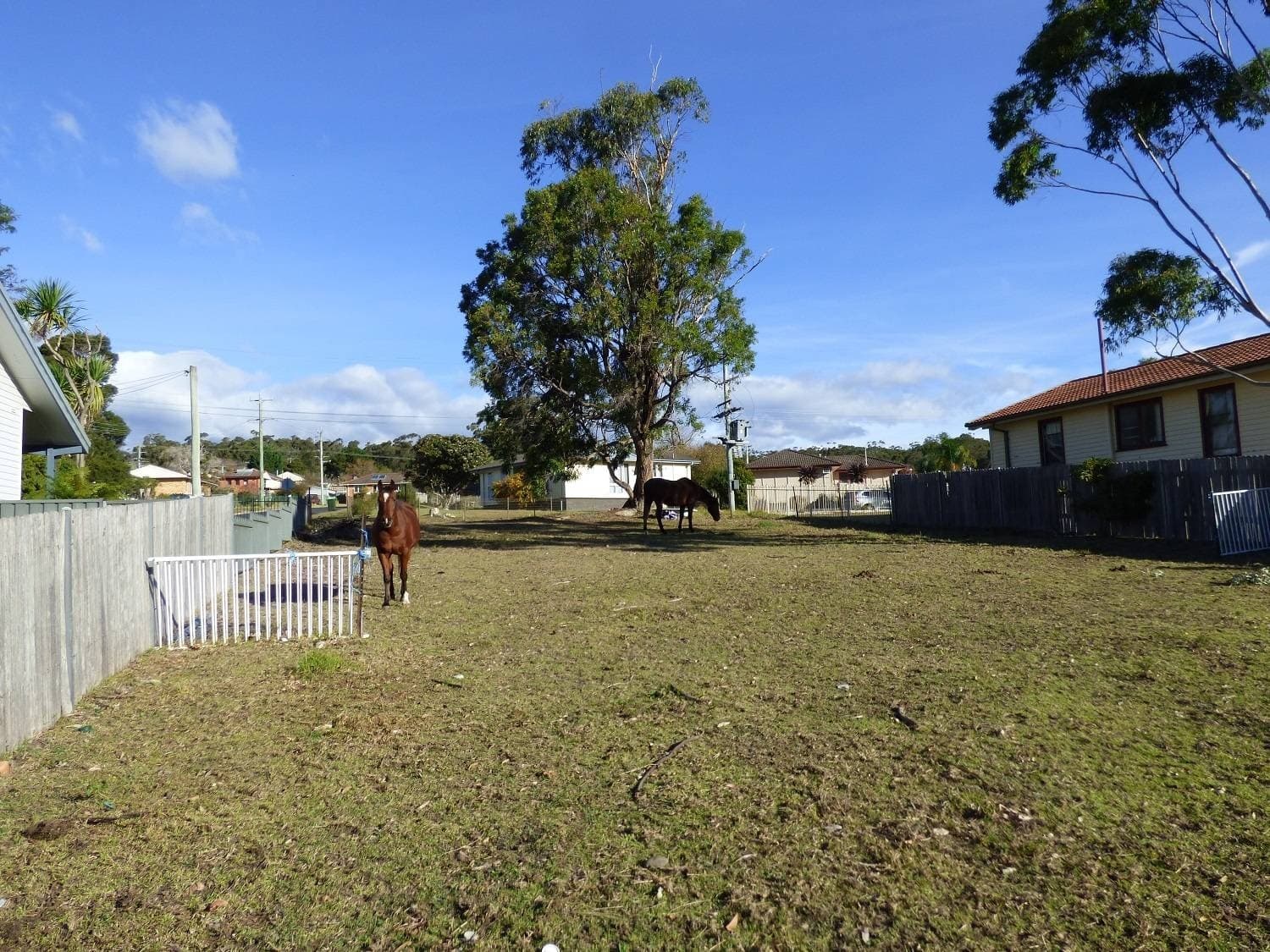 23 Moorehead Street, Eden, Eden - Thumbnail 4