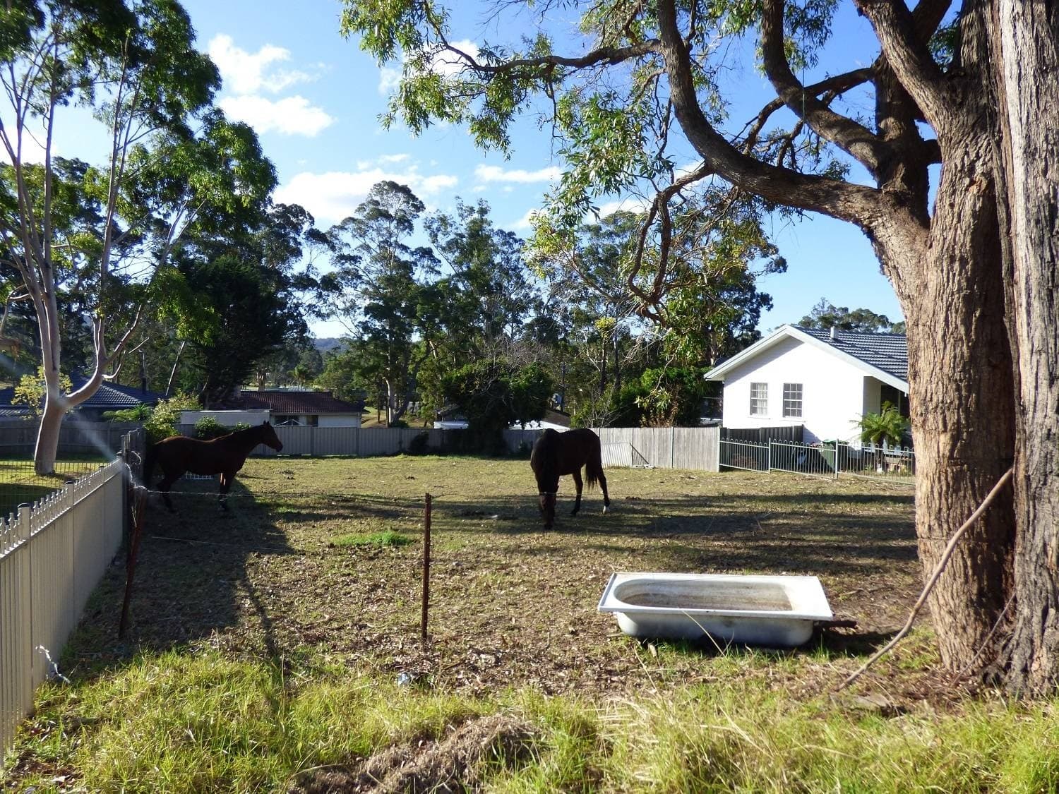 23 Moorehead Street, Eden, Eden - Thumbnail 6