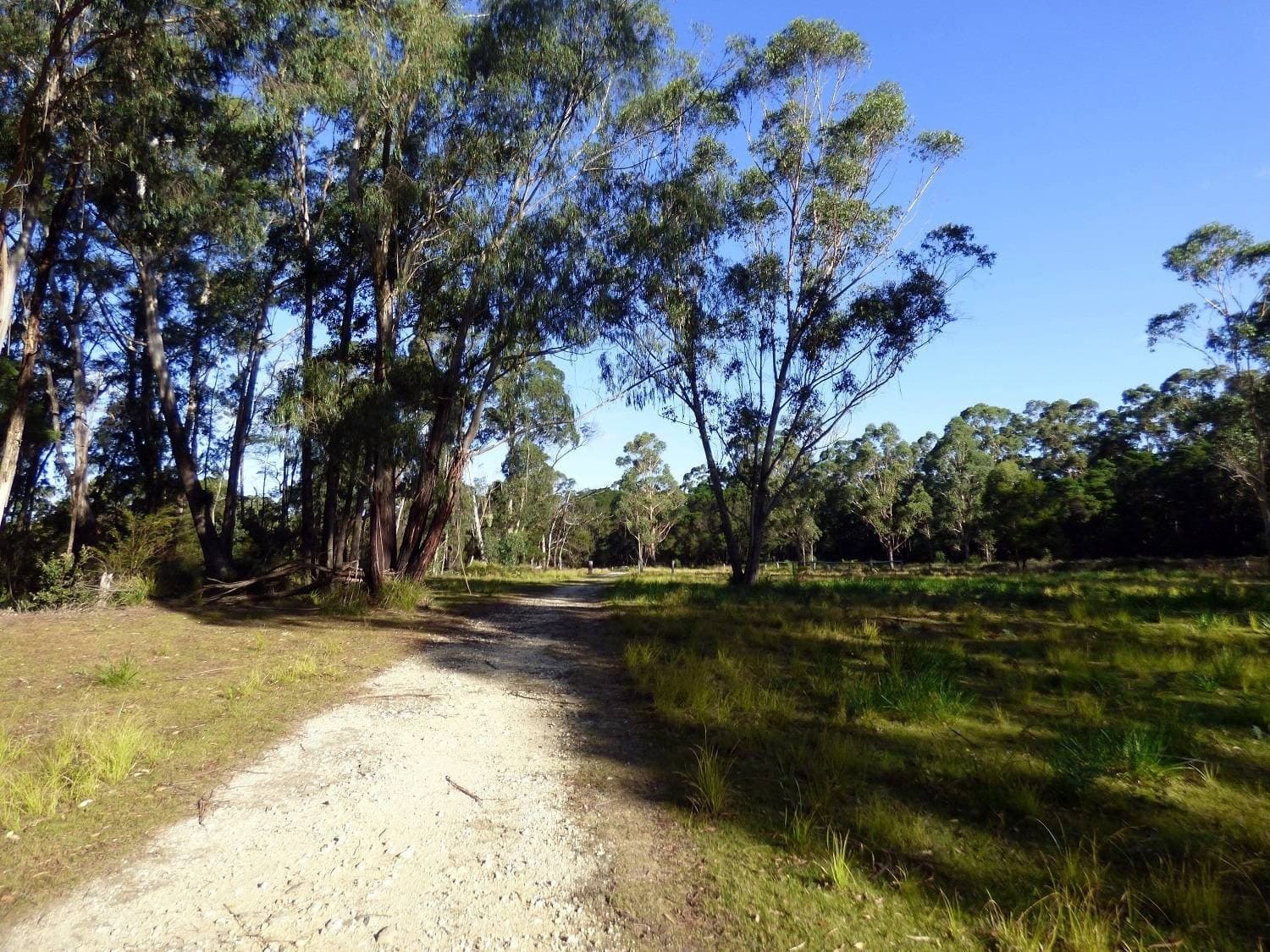 Lots 292 & 293 Princes Highway NARRABARBA Via, Eden, Eden - Image 1