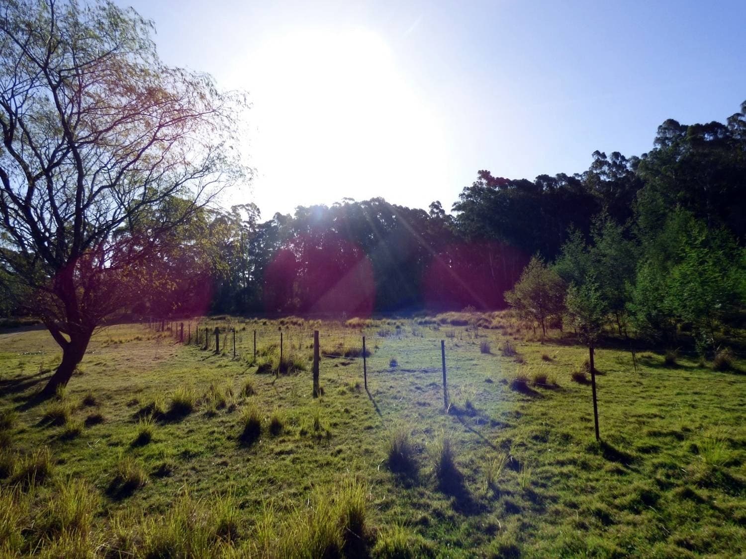 Lots 292 & 293 Princes Highway NARRABARBA Via, Eden, Eden - Thumbnail 2