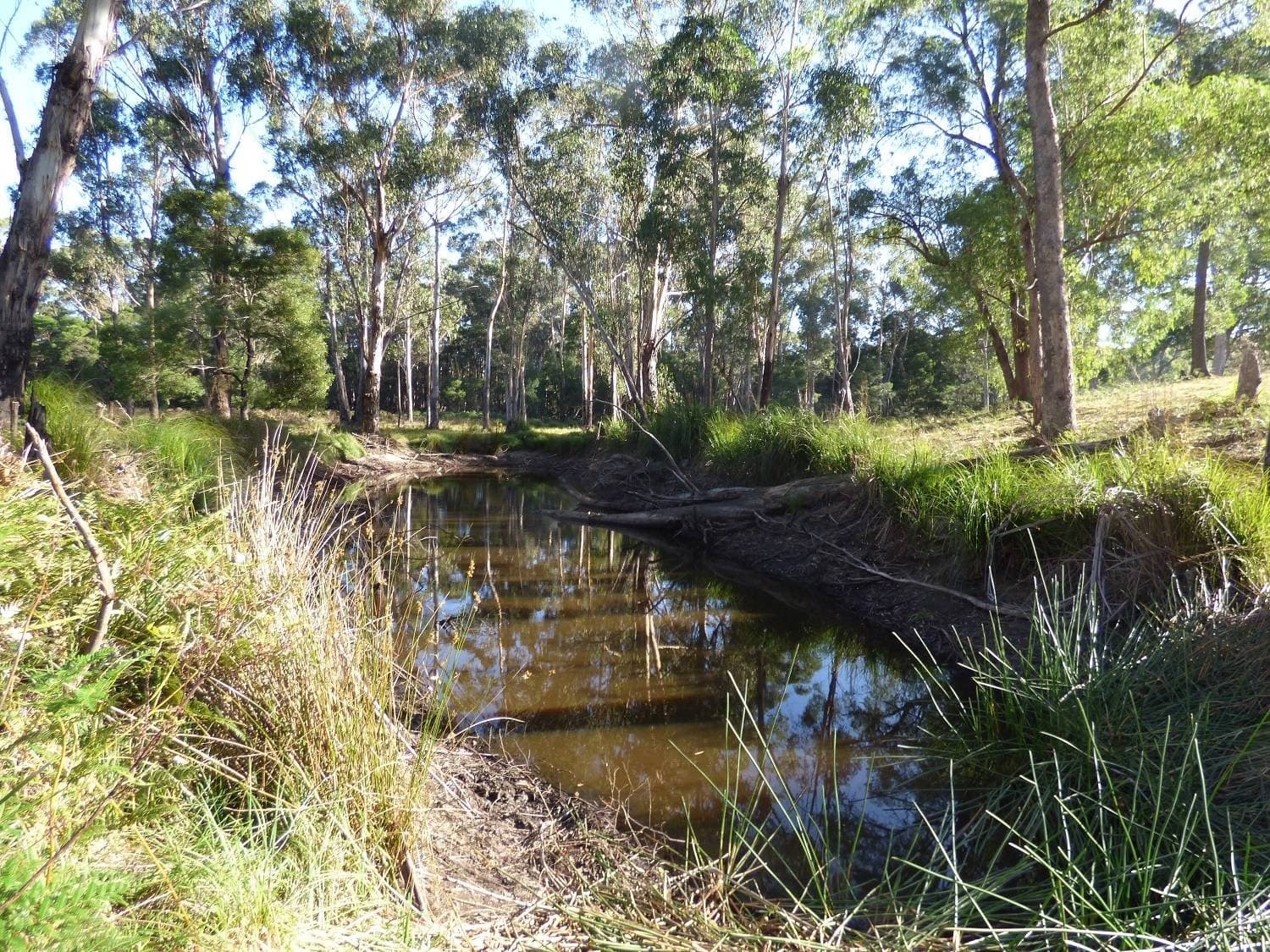 Lots 292 & 293 Princes Highway NARRABARBA Via, Eden, Eden - Thumbnail 4
