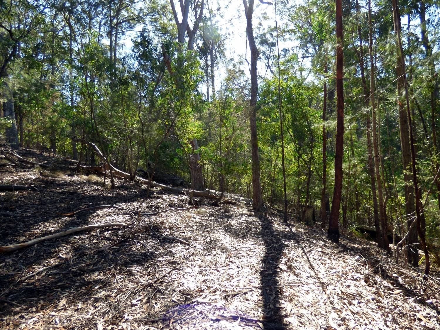 Lot 452 The Snake Track KIAH Via, Eden, Eden - Thumbnail 4