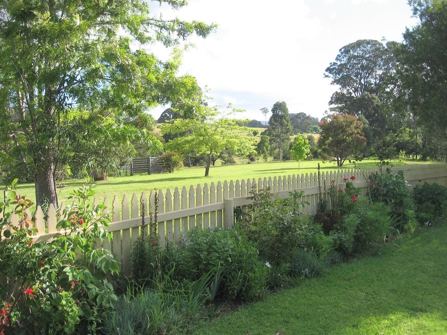 21 Bindaree Rd, Lochiel, Lochiel - Thumbnail 6