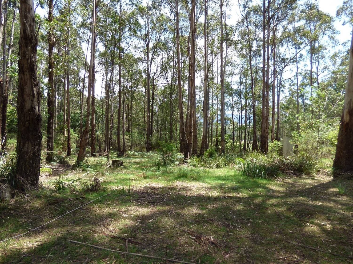 Lot 34 Mt Darragh Road, Wyndham, Wyndham - Thumbnail 6