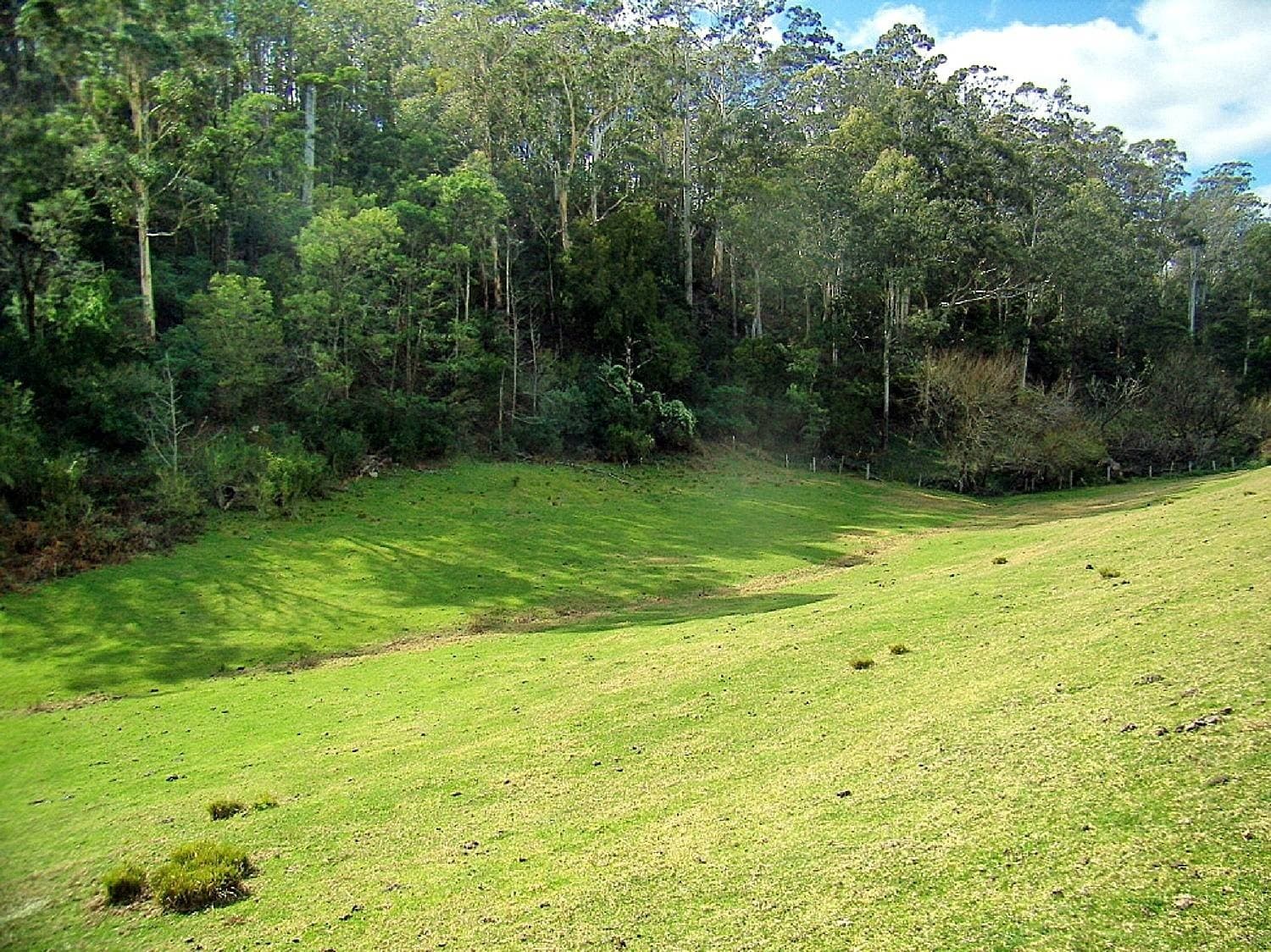 46 The Snake Track, Kiah - Image 1