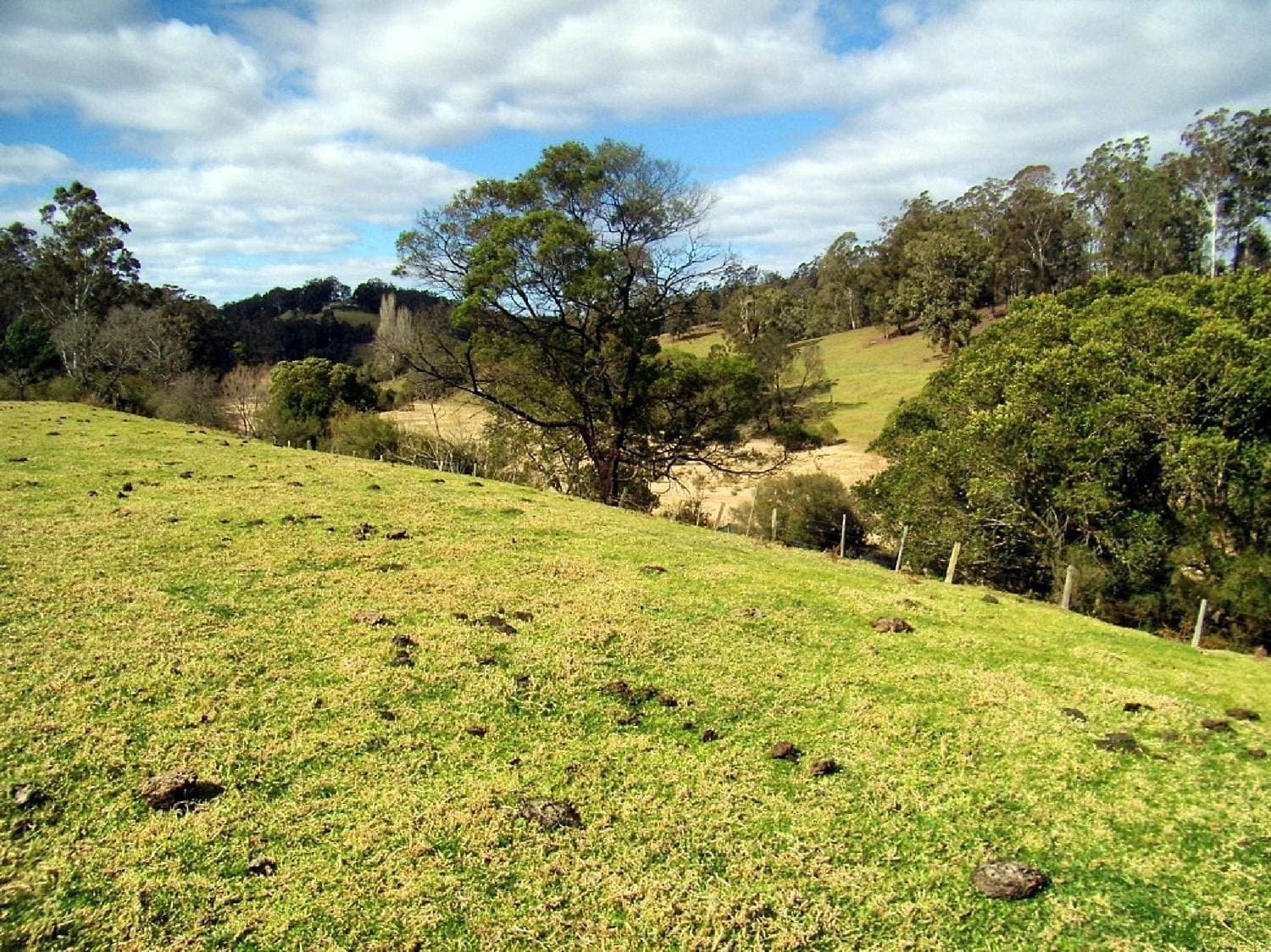 46 The Snake Track, Kiah - Thumbnail 5