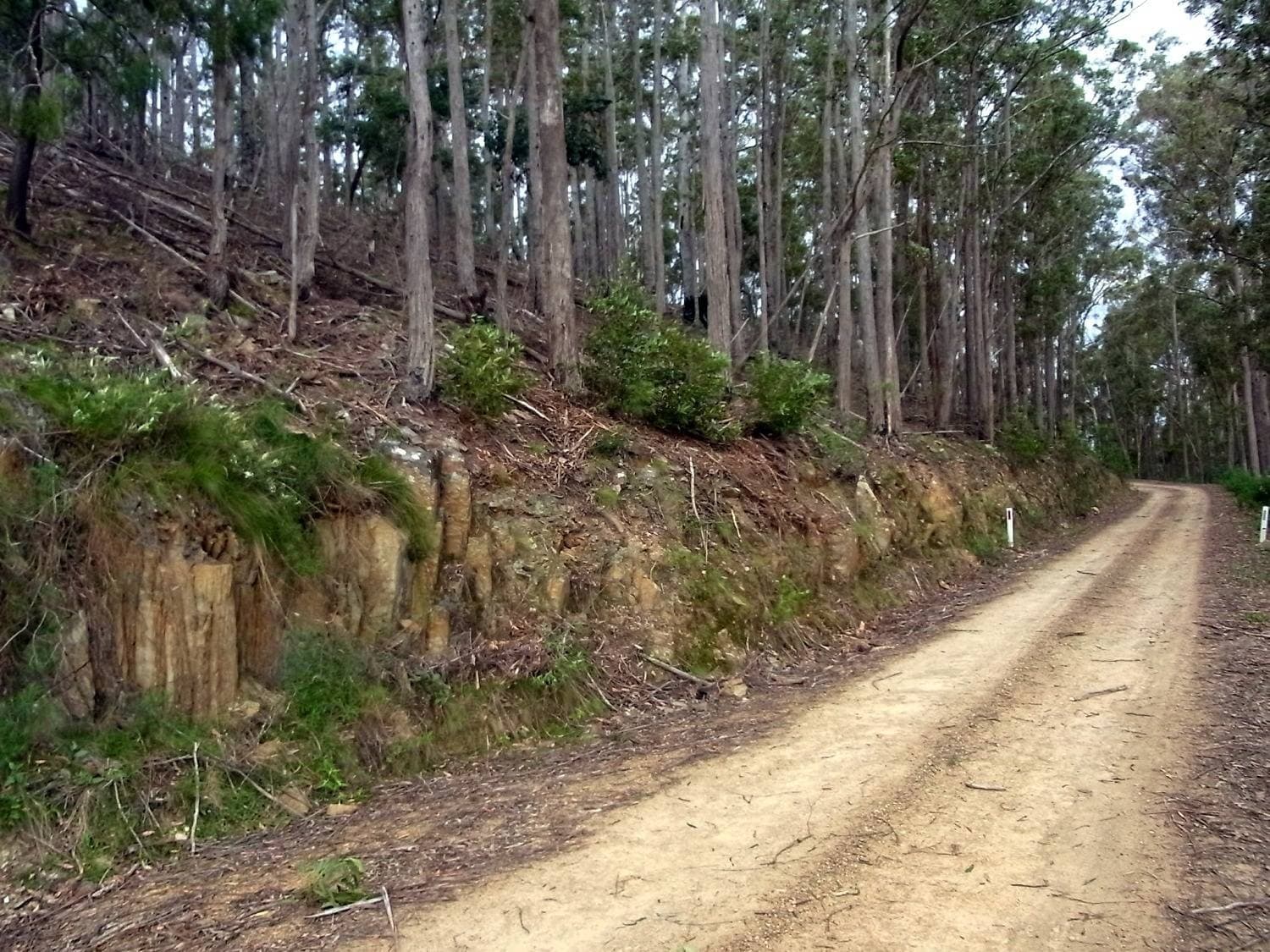 46 The Snake Track, Kiah - Thumbnail 6