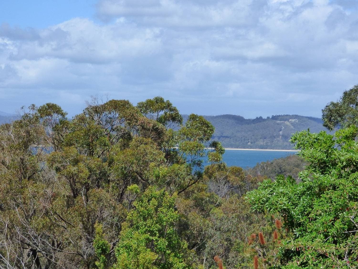 57 Mitchell St, Eden, Eden - Thumbnail 3