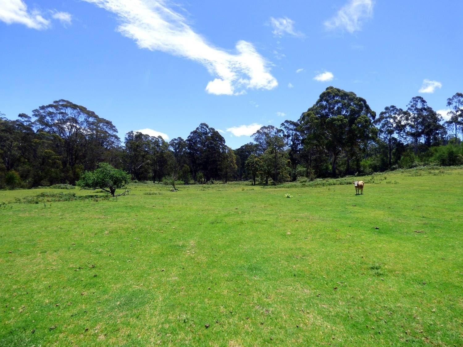55 Palestine Road, Eden, Eden - Thumbnail 8