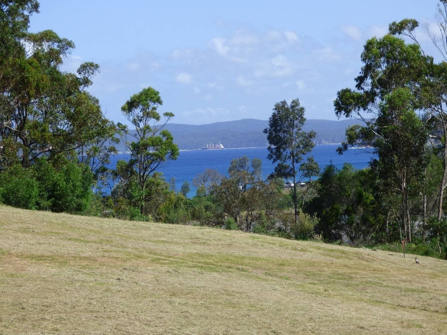 32 Trumpeter Ave, Eden, Eden - Thumbnail 5