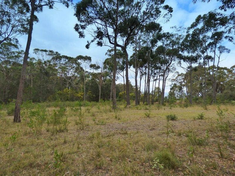 505 Sapphire Coast Drive, Tura Beach, Tura Beach - Thumbnail 7