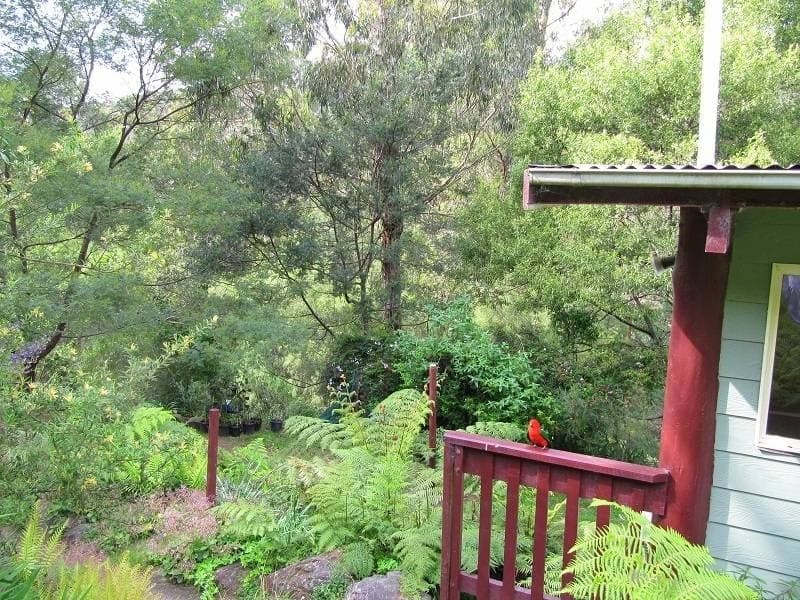 1414 Mount Darragh Rd, Lochiel, Lochiel - Image 1