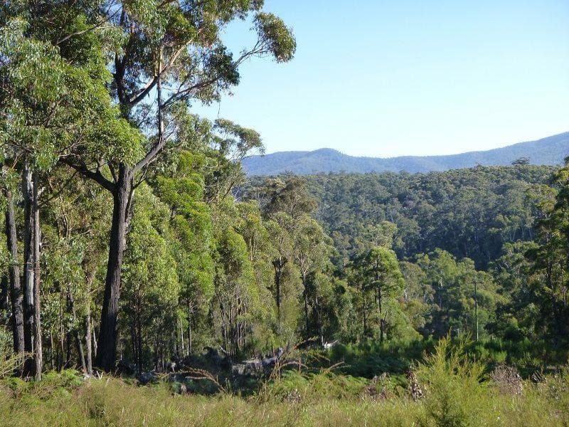 Lot 964 Mt Darragh Road, Lochiel, Lochiel - Image 1