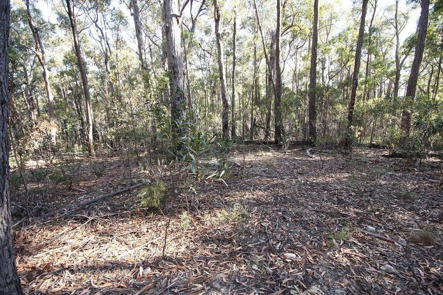 Lot 964 Mt Darragh Road, Lochiel, Lochiel - Thumbnail 2
