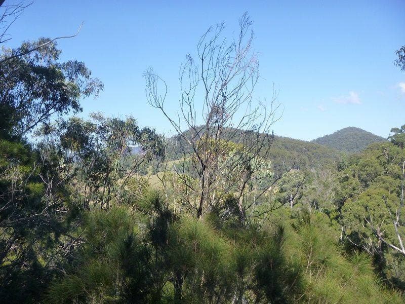 Lot 964 Mt Darragh Road, Lochiel, Lochiel - Thumbnail 3