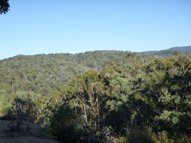 Lot 964 Mt Darragh Road, Lochiel, Lochiel - Thumbnail 5