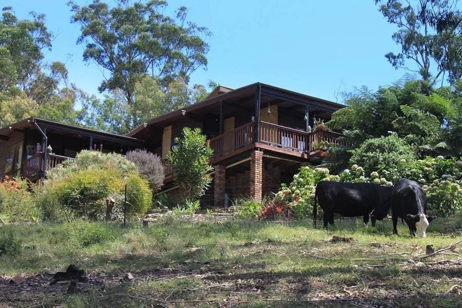 139 Jim McMahon Drive Kiah Via, Eden, Eden - Thumbnail 7