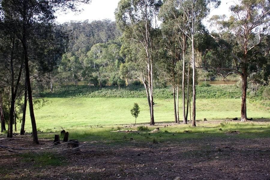 139 Jim McMahon Drive Kiah Via, Eden, Eden - Thumbnail 8