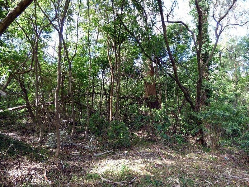 Lot 100 Cattle Bay Road, Eden, Eden - Thumbnail 5