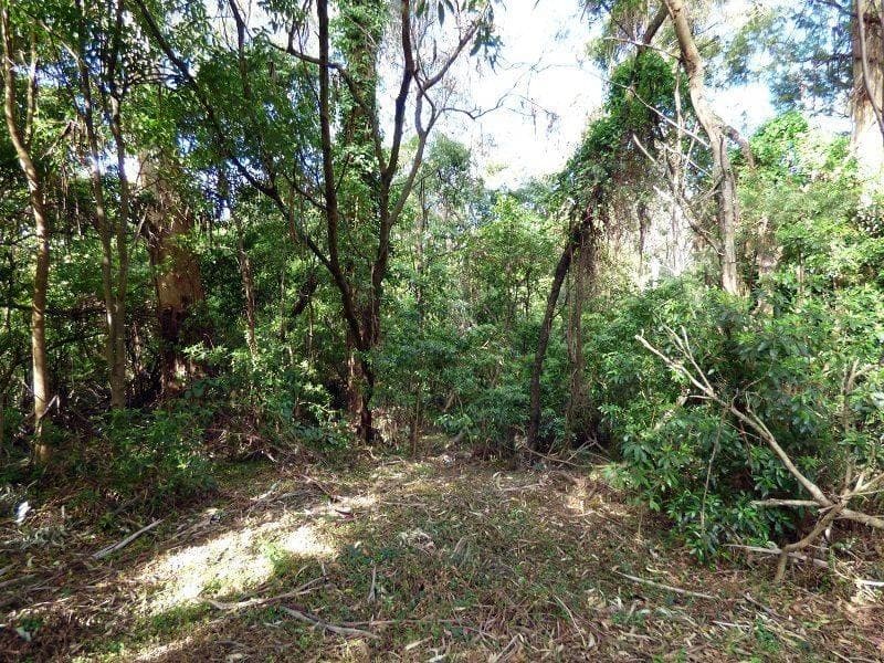 Lot 100 Cattle Bay Road, Eden, Eden - Thumbnail 7