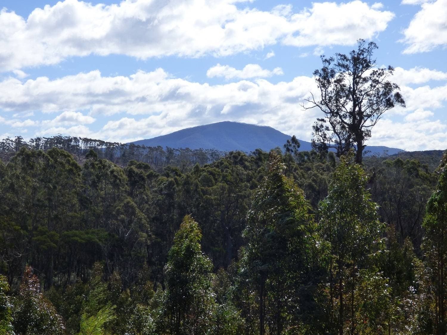 Lot 35 DP 750208, Narrabarba, Narrabarba - Image 1