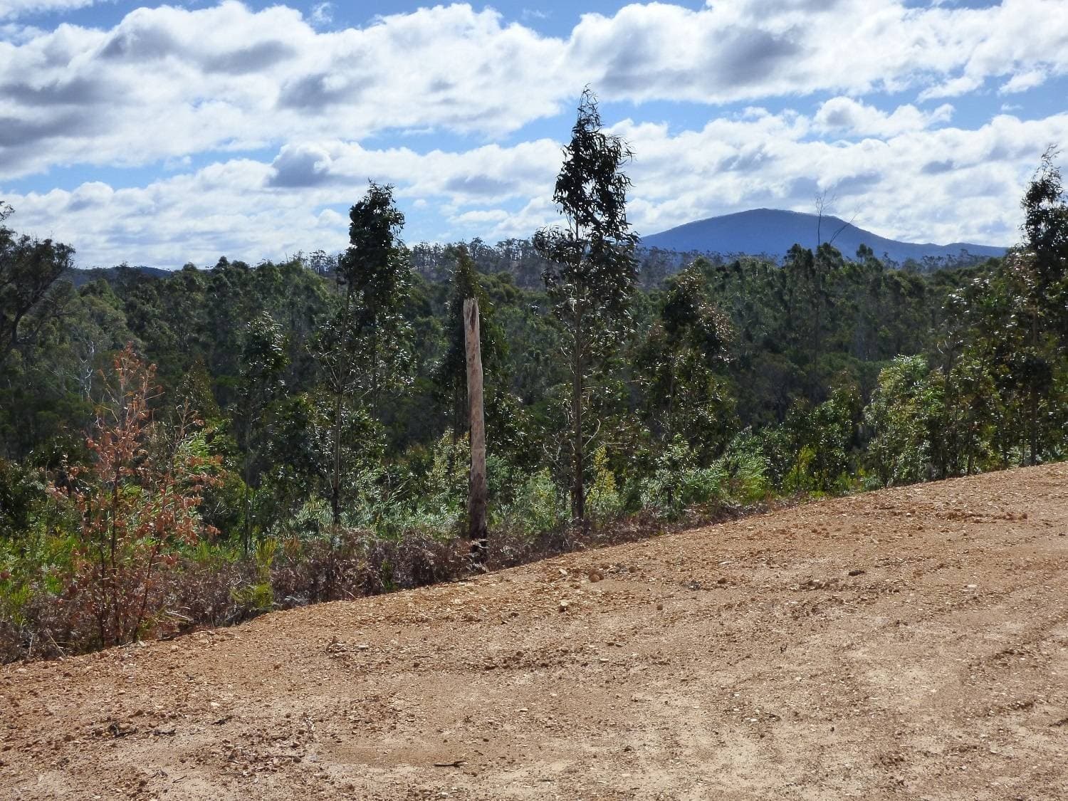 Lot 35 DP 750208, Narrabarba, Narrabarba - Thumbnail 7