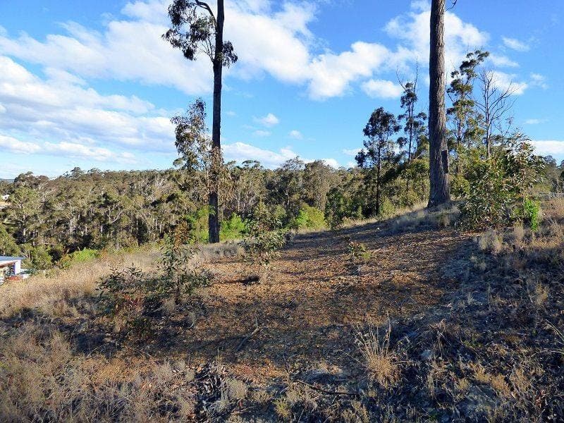 6 Whale Cove Circuit, Eden, Eden - Thumbnail 6