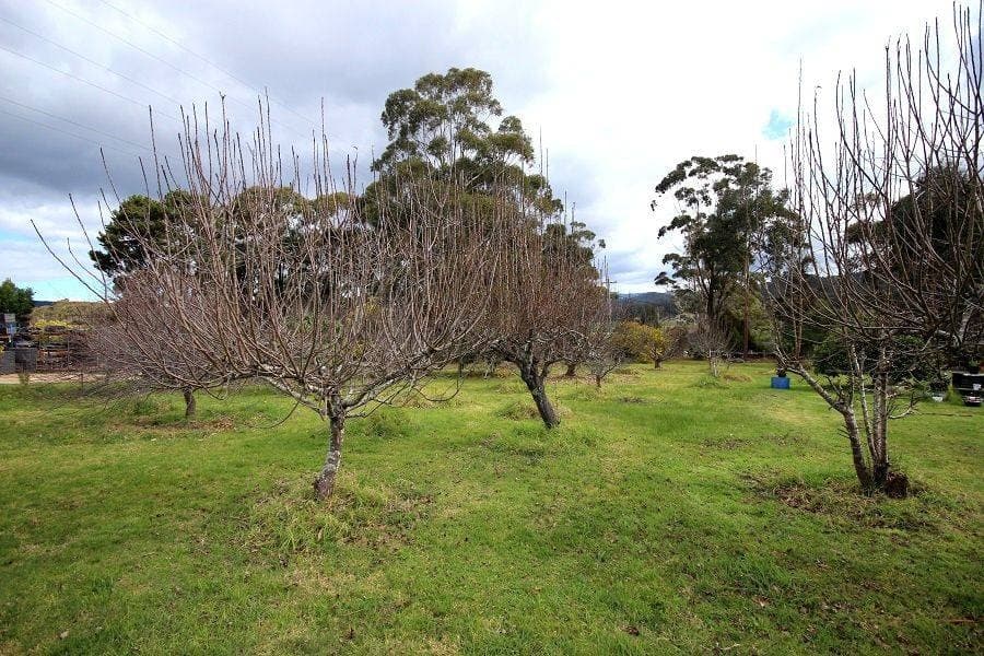 Lot 1221 Princes Highway, Greigs Flat, Greigs Flat - Thumbnail 3