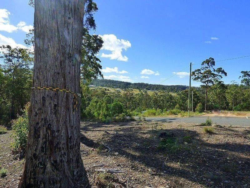 Lot 85 Mac Hill Place, Bald Hills, Bald Hills - Thumbnail 4