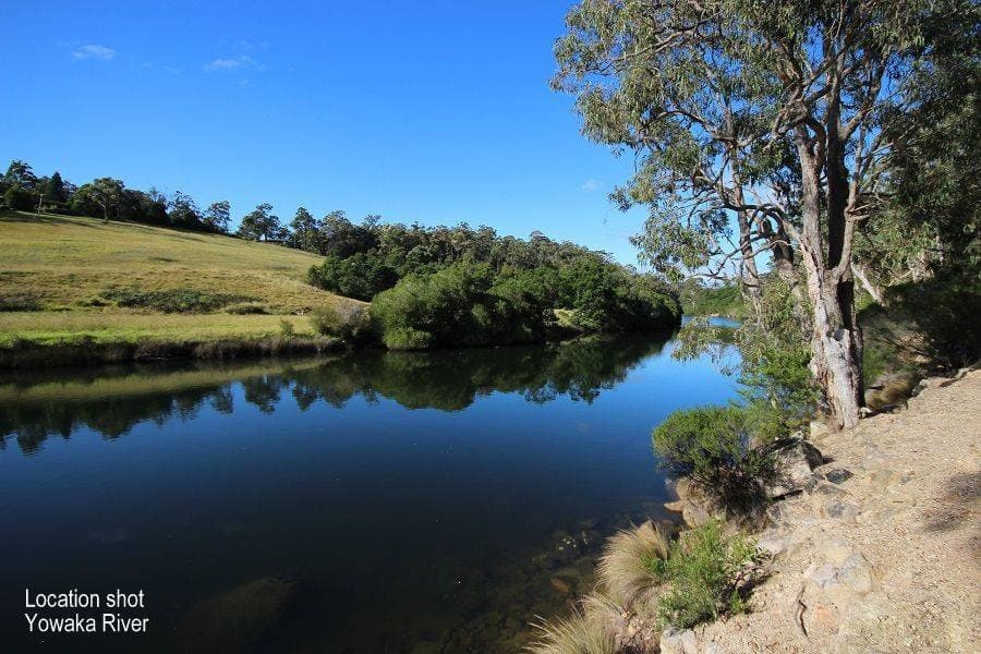 1655 Nethercote Road, Greigs Flat, Greigs Flat - Thumbnail 2