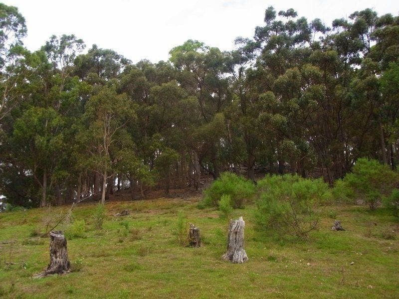 1655 Nethercote Road, Greigs Flat, Greigs Flat - Thumbnail 4