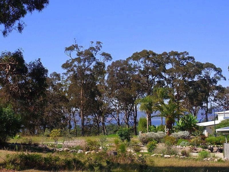 Lot 228 Marlin Avenue, Eden, Eden - Image 1