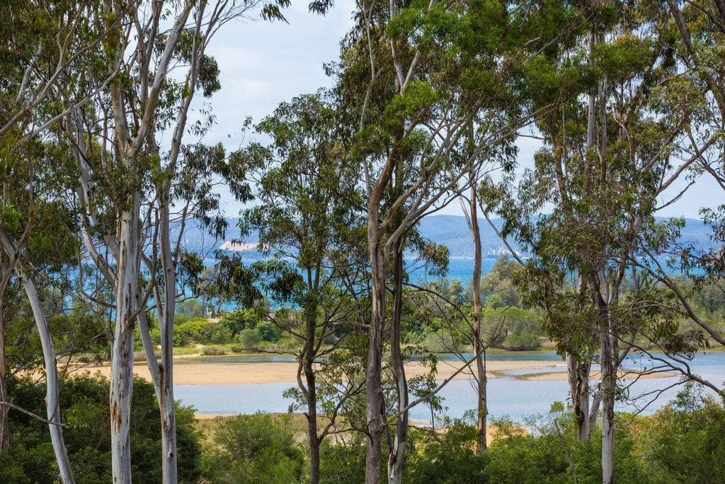 40 Marlin Avenue, Eden, Eden - Thumbnail 8