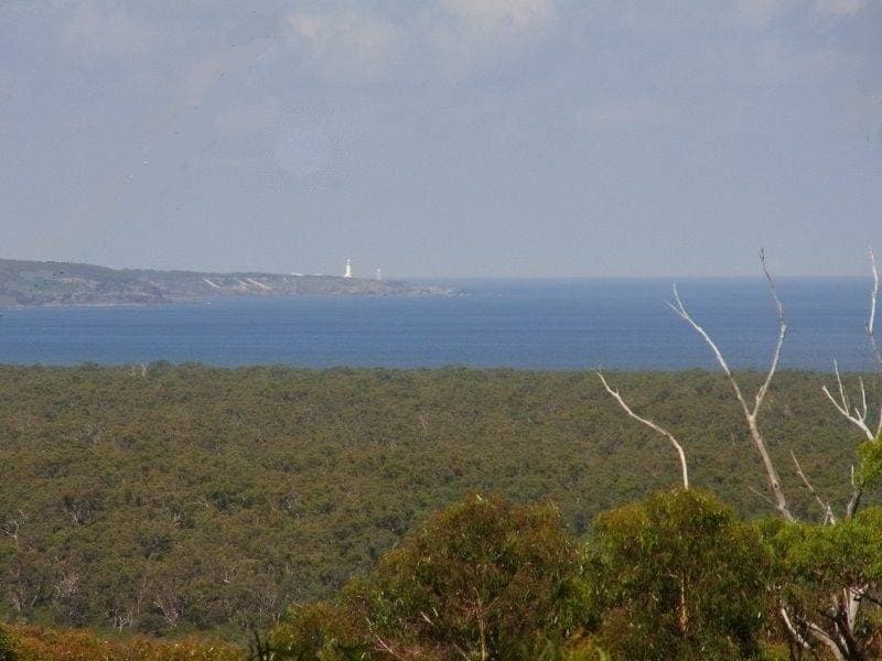 Lot 4 Arunda Lane, Wonboyn, Wonboyn - Image 1