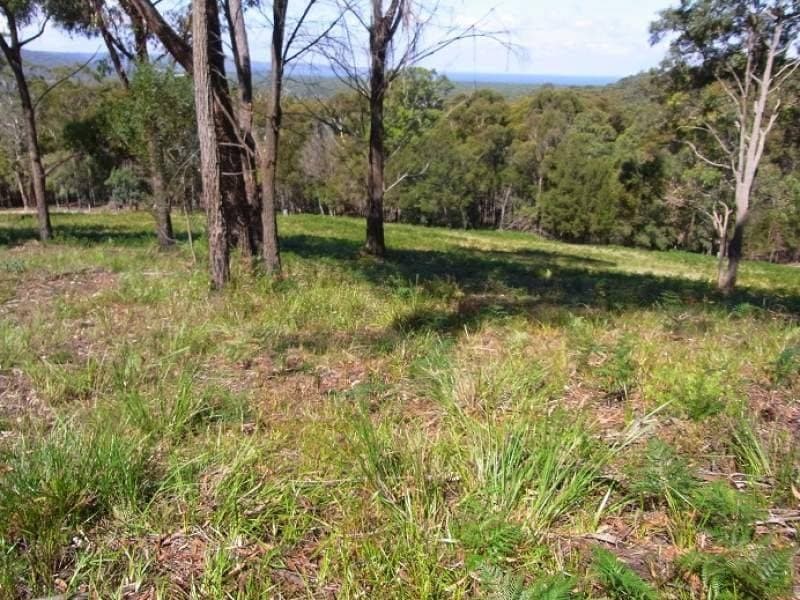 Lot 4 Arunda Lane, Wonboyn, Wonboyn - Thumbnail 2