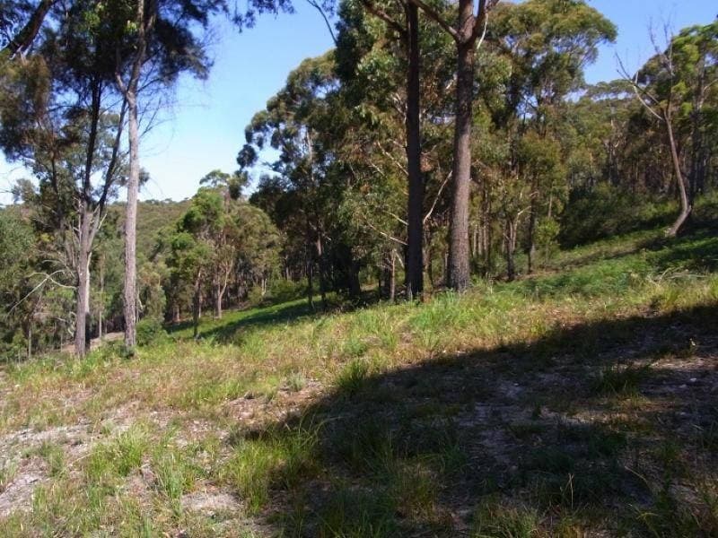 Lot 4 Arunda Lane, Wonboyn, Wonboyn - Thumbnail 5