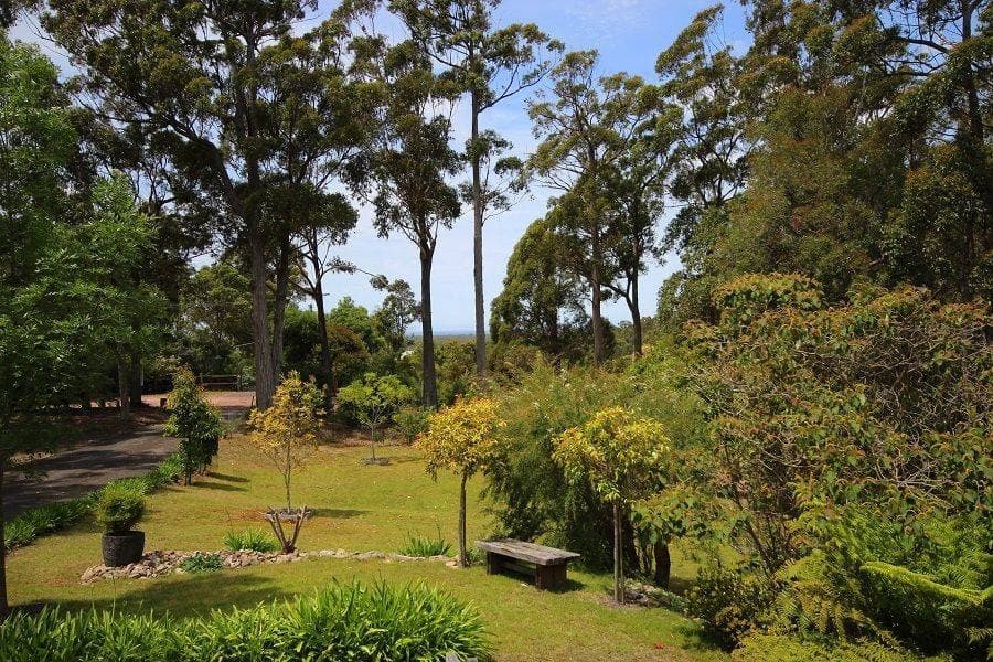 Lot 7 Acacia Avenue, Wonboyn, Wonboyn - Thumbnail 2