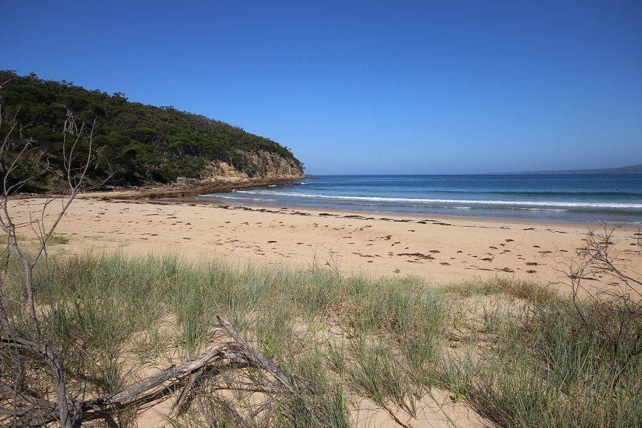 Lot 714 (Part Lot 27 K B Timms Drive, Eden, Eden - Image 1