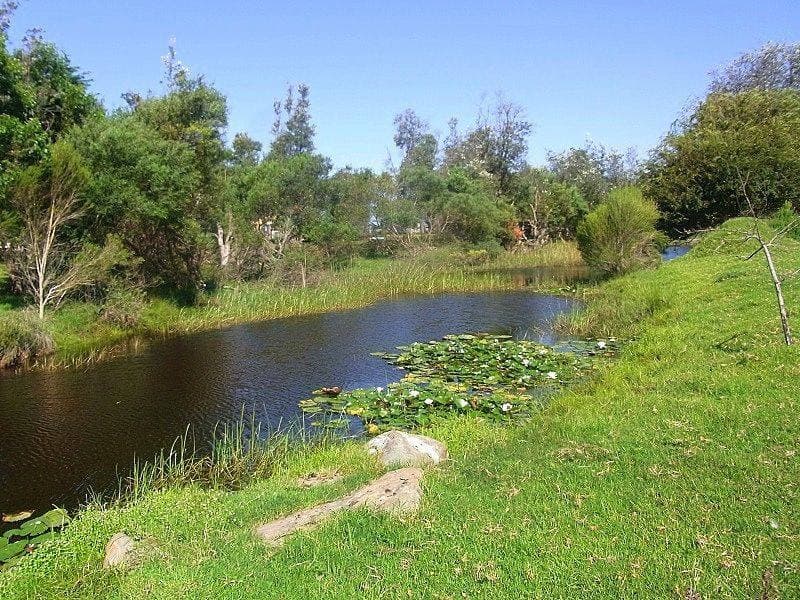 Lot 714 (Part Lot 27 K B Timms Drive, Eden, Eden - Thumbnail 5