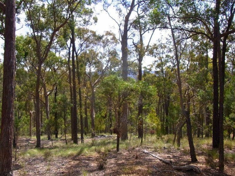 Lot 417 Lyrebird Lane, Millingandi, Millingandi - Image 1
