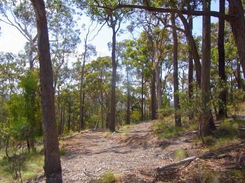 Lot 417 Lyrebird Lane, Millingandi, Millingandi - Thumbnail 2