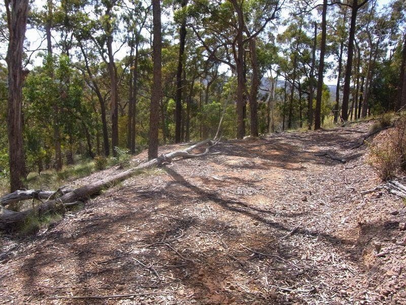 Lot 417 Lyrebird Lane, Millingandi, Millingandi - Thumbnail 3