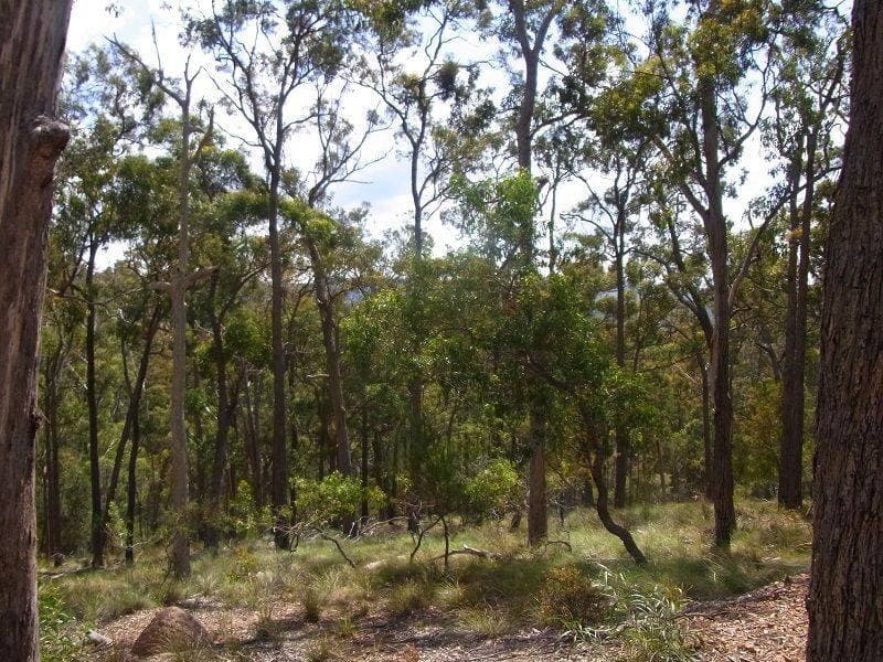 Lot 417 Lyrebird Lane, Millingandi, Millingandi - Thumbnail 5