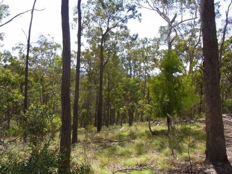 Lot 417 Lyrebird Lane, Millingandi, Millingandi - Thumbnail 6