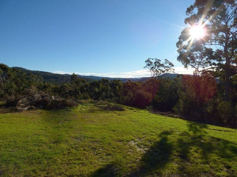 41 Kiaka Road, Nethercote, Nethercote - Thumbnail 2