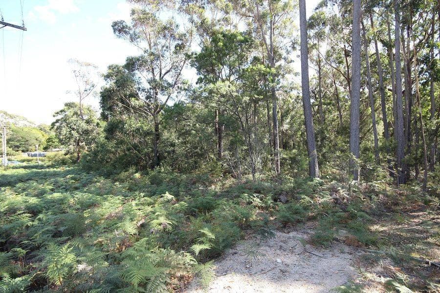 Lot 14 Acacia Avenue, Wonboyn, Wonboyn - Thumbnail 4