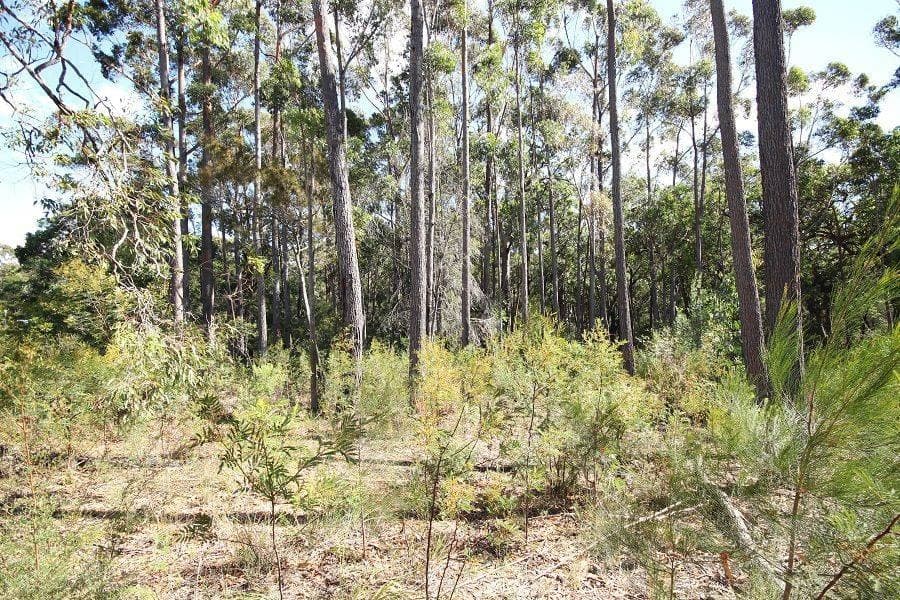 Lot 14 Acacia Avenue, Wonboyn, Wonboyn - Thumbnail 5