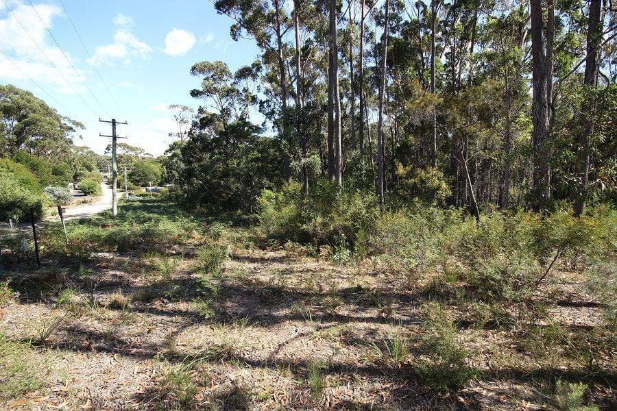 Lot 14 Acacia Avenue, Wonboyn, Wonboyn - Thumbnail 6